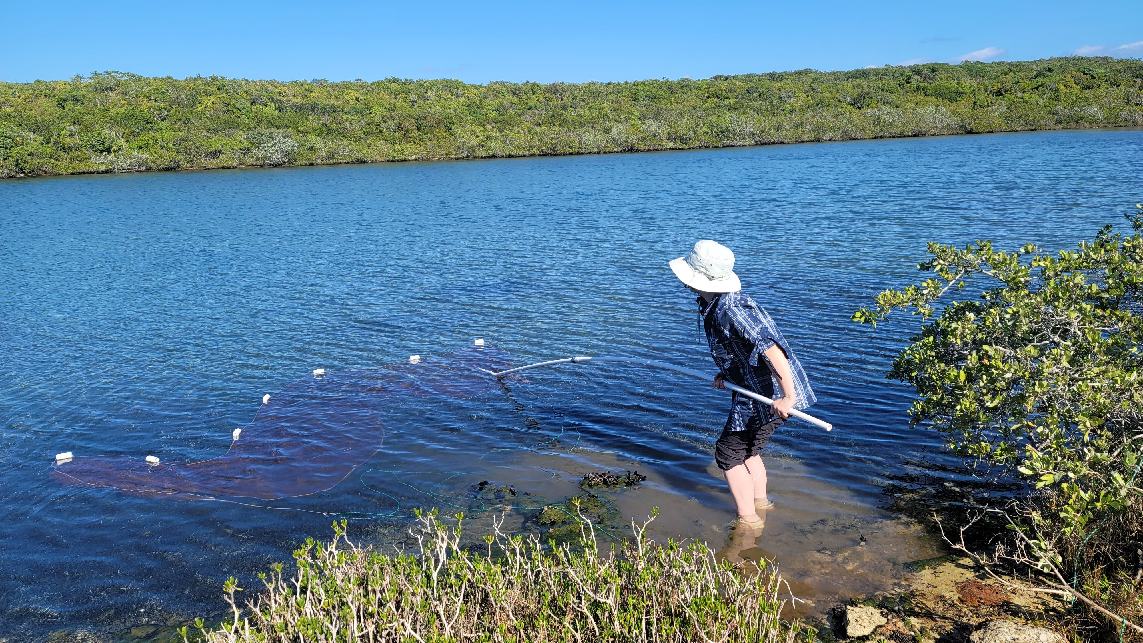 Jazmyn Gutierrez netting fish